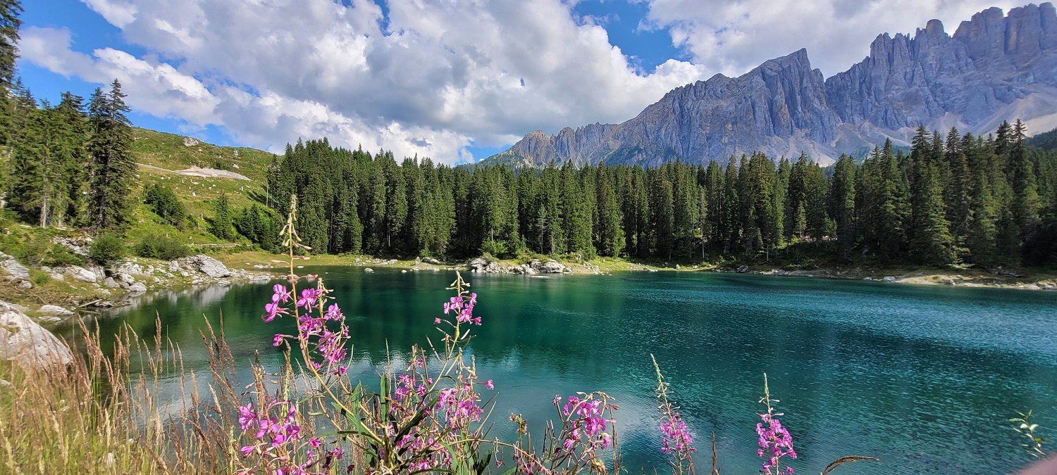 Travel Image