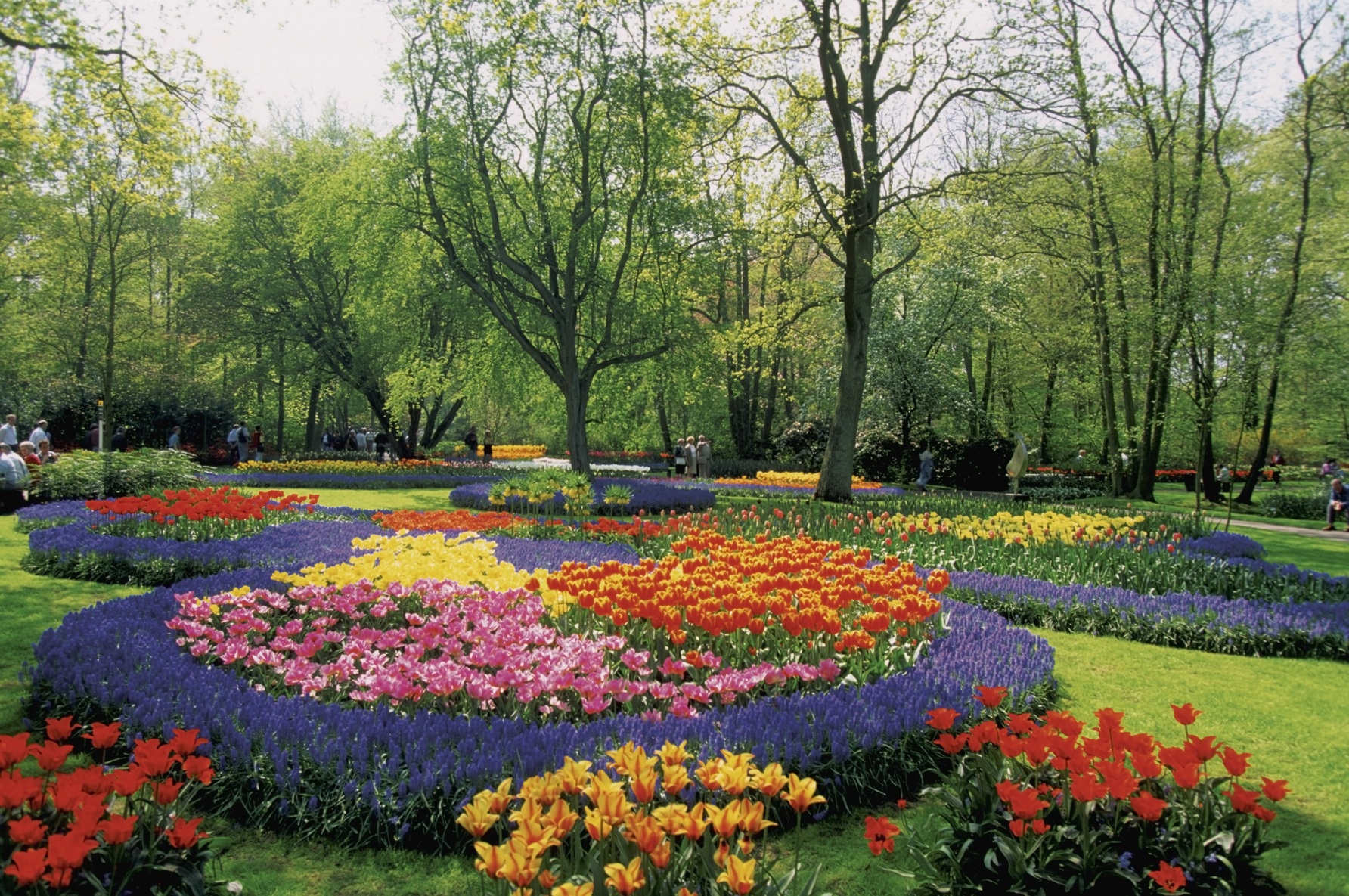 Travel Image