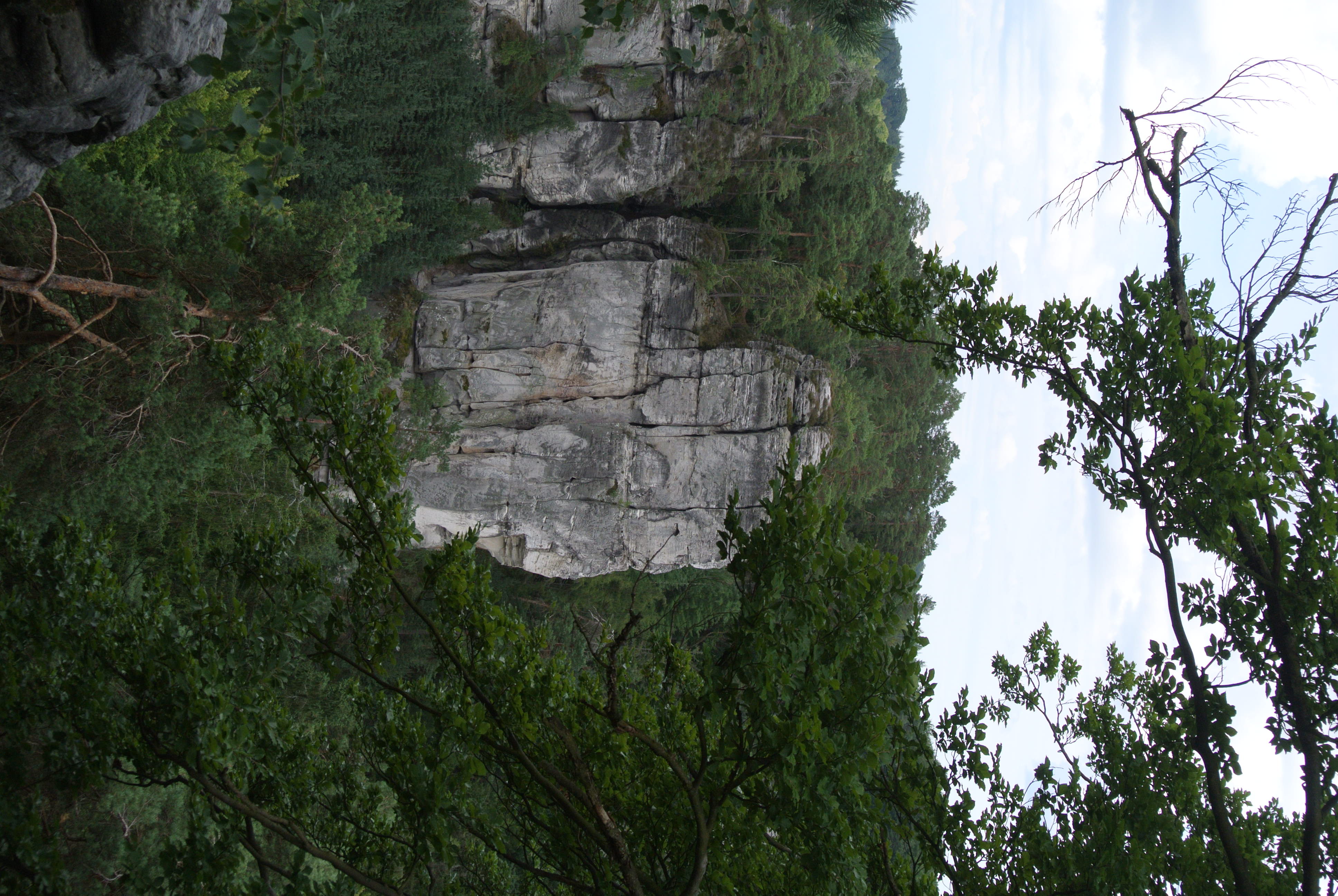Slide 5